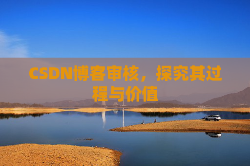 CSDN博客审核，探究其过程与价值